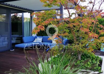 meble ogrodowe, kolor w ogrodzie, klon japoński, rozplenica japońska, trawy ozdobne w ogrodzie